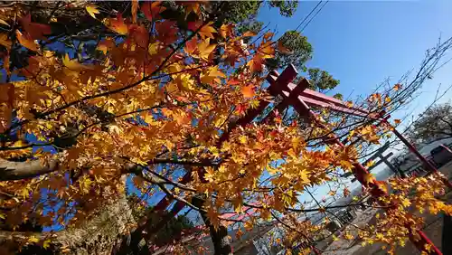 鹿島御児神社の自然
