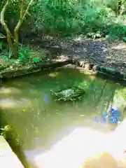 猿田神社(千葉県)