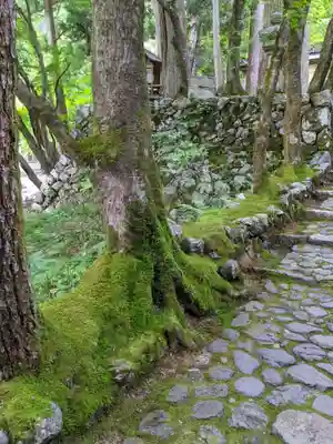 横蔵寺のその他建物