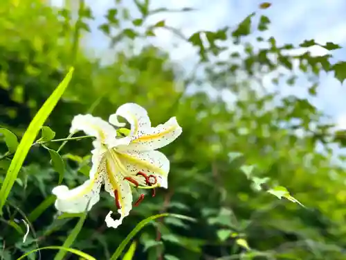 八王子神社(東京都)