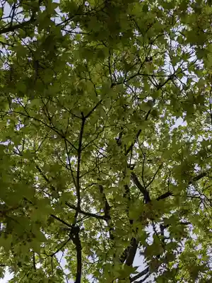 三輪神社(愛知県)