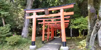 橿原神宮(奈良県)