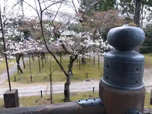 真正極楽寺（真如堂）(京都府)