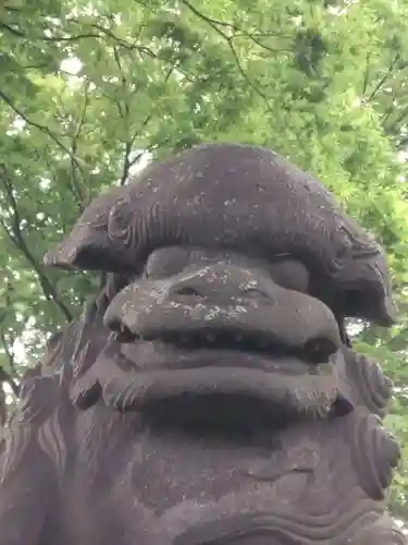 六角橋杉山大神(神奈川県)