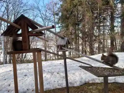 八幡神社(北海道)