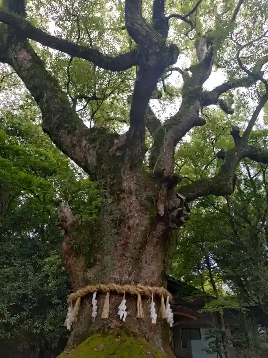 熱田神宮(愛知県)