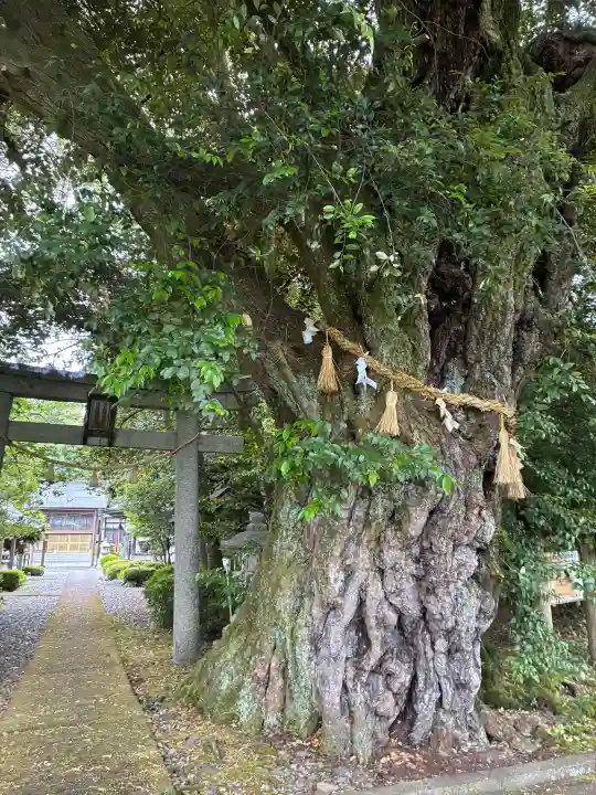 阿志都彌神社・行過天満宮の{uncategorized: "未分類", other: "その他", undefined: "問題あり", building: "その他建物", grave: "お墓", sacred_gate: "鳥居", guardian: "狛犬", statue: "像", buddha: "仏像", history: "歴史", nature: "自然", garden: "庭園", animal: "動物", pagoda: "塔", temizu: "手水舎", mountain_gate: "山門・神門", sanctuary: "本殿・本堂", subordinate: "末社・摂社", art: "芸術", scenery: "景色", jizo: "地蔵", ema: "絵馬", goshuin: "御朱印", omikuji: "おみくじ", items: "授与品その他", amulet: "お守り", goshuincho: "御朱印帳", eats: "食事", festival: "お祭り", votive_dance: "神楽", shichigosan: "七五三参", wedding: "結婚式", experience: "体験その他", initially: "初詣", around: "周辺", anti_infection: "感染症対策"}