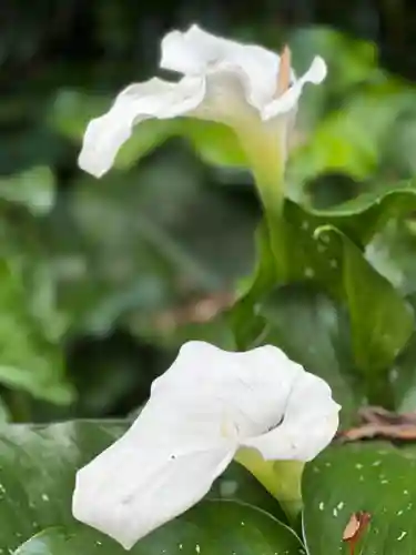 霧島岑神社(宮崎県)