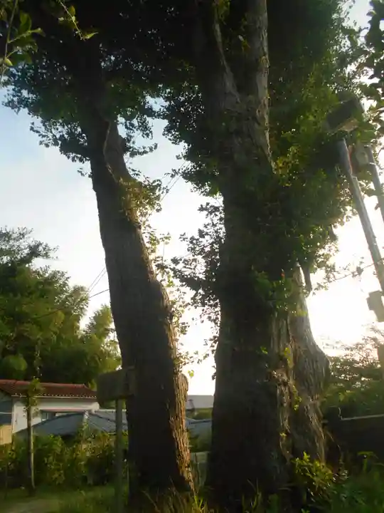 御霊神社(神奈川県)