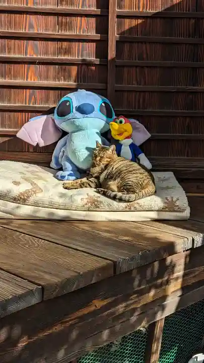 理安寺(大阪府)