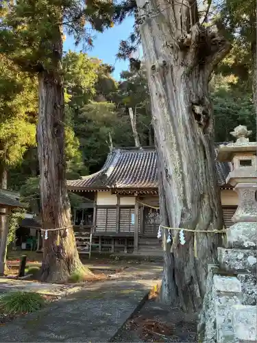 来宮神社(静岡県)