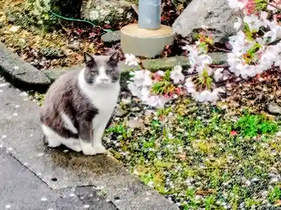 三明寺の{uncategorized: "未分類", other: "その他", undefined: "問題あり", building: "その他建物", grave: "お墓", sacred_gate: "鳥居", guardian: "狛犬", statue: "像", buddha: "仏像", history: "歴史", nature: "自然", garden: "庭園", animal: "動物", pagoda: "塔", temizu: "手水舎", mountain_gate: "山門・神門", sanctuary: "本殿・本堂", subordinate: "末社・摂社", art: "芸術", scenery: "景色", jizo: "地蔵", ema: "絵馬", goshuin: "御朱印", omikuji: "おみくじ", items: "授与品その他", amulet: "お守り", goshuincho: "御朱印帳", eats: "食事", festival: "お祭り", votive_dance: "神楽", shichigosan: "七五三参", wedding: "結婚式", experience: "体験その他", initially: "初詣", around: "周辺", anti_infection: "感染症対策"}