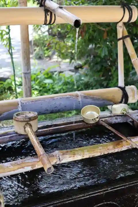 達磨寺(群馬県)