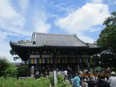 般若寺 ❁﻿コスモス寺❁(奈良県)