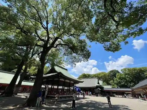 武蔵一宮氷川神社(埼玉県)