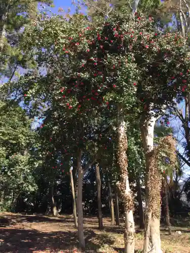 鹿嶋神社の自然