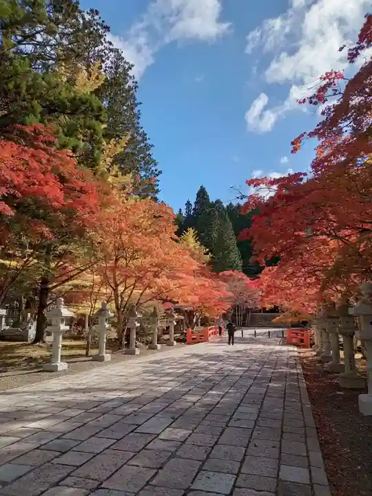 高野山金剛峯寺奥の院(和歌山県)