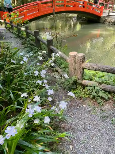 小國神社の{uncategorized: "未分類", other: "その他", undefined: "問題あり", building: "その他建物", grave: "お墓", sacred_gate: "鳥居", guardian: "狛犬", statue: "像", buddha: "仏像", history: "歴史", nature: "自然", garden: "庭園", animal: "動物", pagoda: "塔", temizu: "手水舎", mountain_gate: "山門・神門", sanctuary: "本殿・本堂", subordinate: "末社・摂社", art: "芸術", scenery: "景色", jizo: "地蔵", ema: "絵馬", goshuin: "御朱印", omikuji: "おみくじ", items: "授与品その他", amulet: "お守り", goshuincho: "御朱印帳", eats: "食事", festival: "お祭り", votive_dance: "神楽", shichigosan: "七五三参", wedding: "結婚式", experience: "体験その他", initially: "初詣", around: "周辺", anti_infection: "感染症対策"}