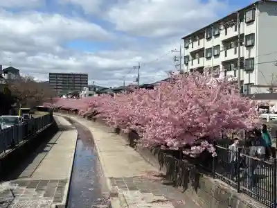 長円寺の{uncategorized: "未分類", other: "その他", undefined: "問題あり", building: "その他建物", grave: "お墓", sacred_gate: "鳥居", guardian: "狛犬", statue: "像", buddha: "仏像", history: "歴史", nature: "自然", garden: "庭園", animal: "動物", pagoda: "塔", temizu: "手水舎", mountain_gate: "山門・神門", sanctuary: "本殿・本堂", subordinate: "末社・摂社", art: "芸術", scenery: "景色", jizo: "地蔵", ema: "絵馬", goshuin: "御朱印", omikuji: "おみくじ", items: "授与品その他", amulet: "お守り", goshuincho: "御朱印帳", eats: "食事", festival: "お祭り", votive_dance: "神楽", shichigosan: "七五三参", wedding: "結婚式", experience: "体験その他", initially: "初詣", around: "周辺", anti_infection: "感染症対策"}