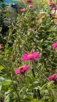 玉田神社(京都府)