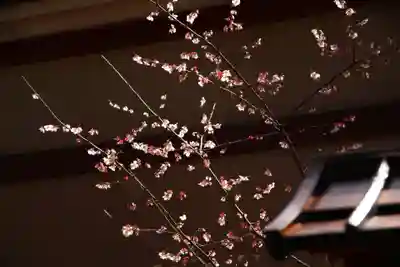 葛西神社(東京都)