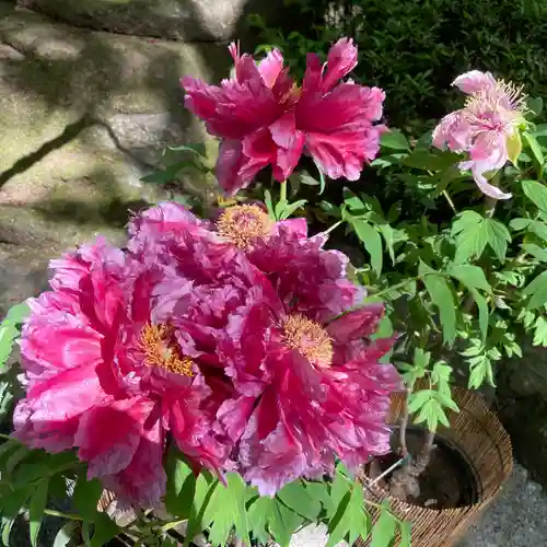 上野東照宮(東京都)