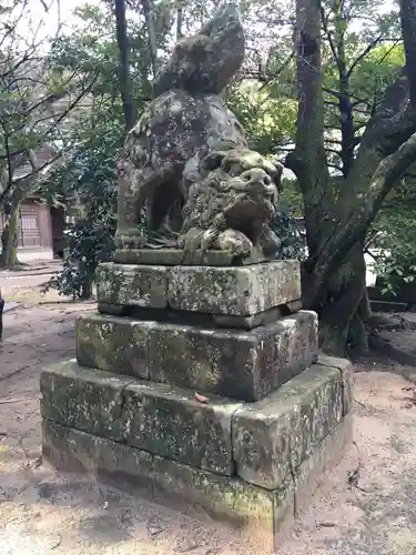 長浜神社の狛犬