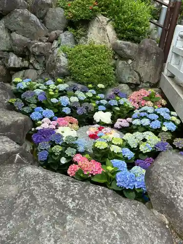岡寺（龍蓋寺）(奈良県)