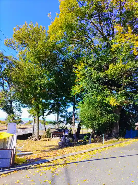 津島神社・仏堂(前原)の自然