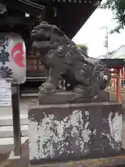 白山神社の狛犬