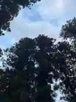 大宮温泉神社の自然