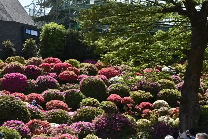 根津神社の庭園
