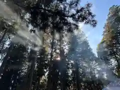 大宮温泉神社の自然