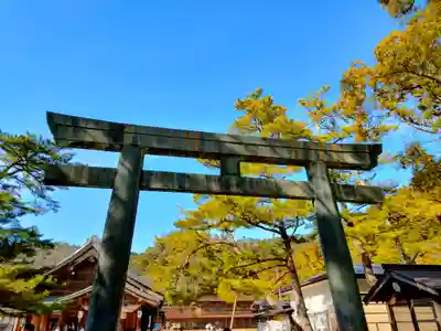 出雲大社(島根県)