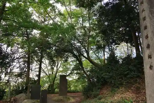 阿久津「田村神社」（郡山市阿久津町）旧社名：伊豆箱根三嶋三社の景色