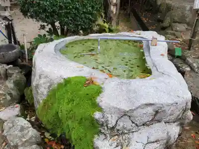 天開稲荷社の手水舎