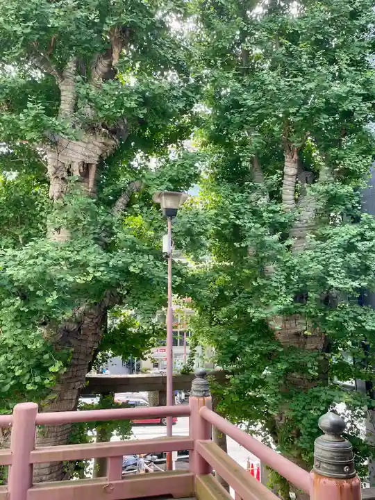 誕生八幡神社(東京都)