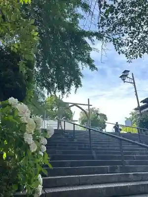 所澤神明社(埼玉県)