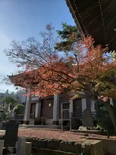 善福寺(東京都)