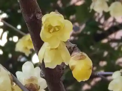 町田天満宮(東京都)