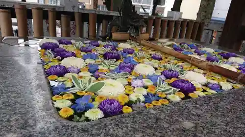 高円寺氷川神社(東京都)