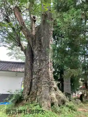 一本木諏訪神社(長野県)