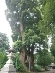 細江神社(静岡県)