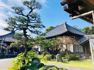 極楽寺の本殿・本堂