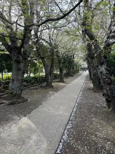 極楽寺（霊鷲山感應院極楽律寺）の景色