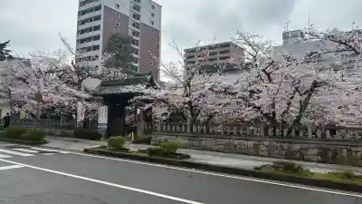 天孫神社の{uncategorized: "未分類", other: "その他", undefined: "問題あり", building: "その他建物", grave: "お墓", sacred_gate: "鳥居", guardian: "狛犬", statue: "像", buddha: "仏像", history: "歴史", nature: "自然", garden: "庭園", animal: "動物", pagoda: "塔", temizu: "手水舎", mountain_gate: "山門・神門", sanctuary: "本殿・本堂", subordinate: "末社・摂社", art: "芸術", scenery: "景色", jizo: "地蔵", ema: "絵馬", goshuin: "御朱印", omikuji: "おみくじ", items: "授与品その他", amulet: "お守り", goshuincho: "御朱印帳", eats: "食事", festival: "お祭り", votive_dance: "神楽", shichigosan: "七五三参", wedding: "結婚式", experience: "体験その他", initially: "初詣", around: "周辺", anti_infection: "感染症対策"}