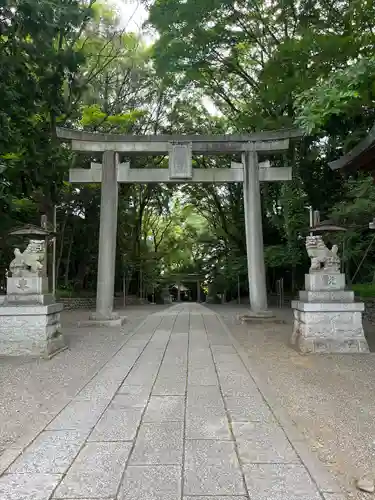 谷保天満宮(東京都)