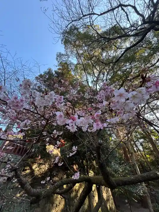 久能山東照宮の{uncategorized: "未分類", other: "その他", undefined: "問題あり", building: "その他建物", grave: "お墓", sacred_gate: "鳥居", guardian: "狛犬", statue: "像", buddha: "仏像", history: "歴史", nature: "自然", garden: "庭園", animal: "動物", pagoda: "塔", temizu: "手水舎", mountain_gate: "山門・神門", sanctuary: "本殿・本堂", subordinate: "末社・摂社", art: "芸術", scenery: "景色", jizo: "地蔵", ema: "絵馬", goshuin: "御朱印", omikuji: "おみくじ", items: "授与品その他", amulet: "お守り", goshuincho: "御朱印帳", eats: "食事", festival: "お祭り", votive_dance: "神楽", shichigosan: "七五三参", wedding: "結婚式", experience: "体験その他", initially: "初詣", around: "周辺", anti_infection: "感染症対策"}