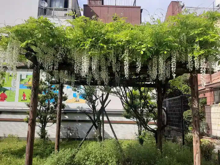 亀戸 香取神社(東京都)