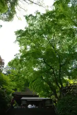 大興善寺(佐賀県)